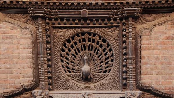 Der Pfau - Symbol des Glücks, Holzschnitzerei Bhaktapur